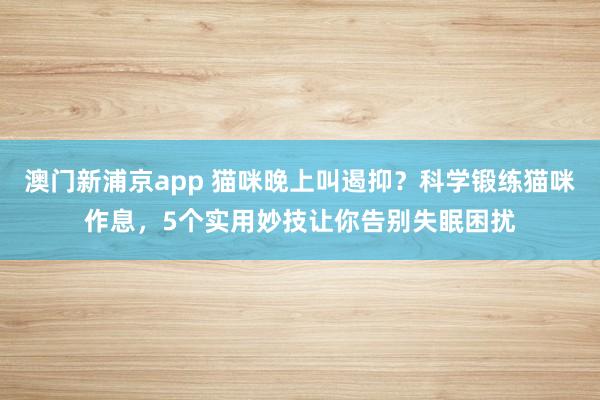 澳门新浦京app 猫咪晚上叫遏抑？科学锻练猫咪作息，5个实用妙技让你告别失眠困扰