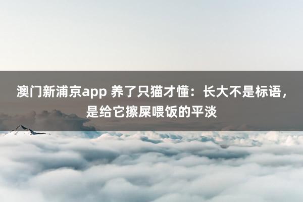 澳门新浦京app 养了只猫才懂：长大不是标语，是给它擦屎喂饭的平淡