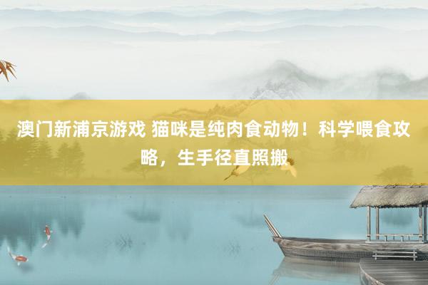 澳门新浦京游戏 猫咪是纯肉食动物！科学喂食攻略，生手径直照搬