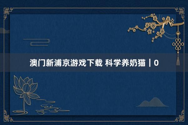 澳门新浦京游戏下载 科学养奶猫｜0