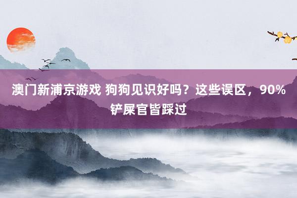 澳门新浦京游戏 狗狗见识好吗？这些误区，90%铲屎官皆踩过