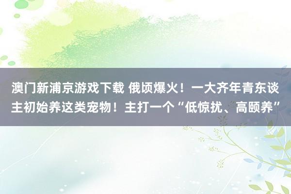 澳门新浦京游戏下载 俄顷爆火！一大齐年青东谈主初始养这类宠物！主打一个“低惊扰、高颐养”