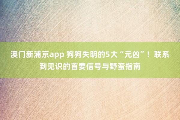 澳门新浦京app 狗狗失明的5大“元凶”！联系到见识的首要信号与野蛮指南
