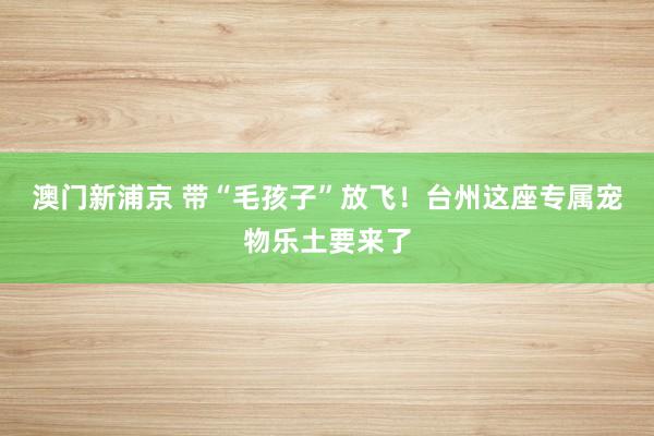 澳门新浦京 带“毛孩子”放飞！台州这座专属宠物乐土要来了