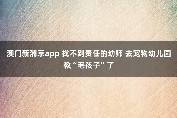 澳门新浦京app 找不到责任的幼师 去宠物幼儿园教“毛孩子”了