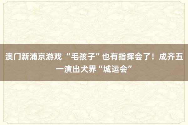 澳门新浦京游戏 “毛孩子”也有指挥会了！成齐五一演出犬界“城运会”