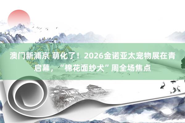 澳门新浦京 萌化了！2026金诺亚太宠物展在青启幕，“棉花面纱犬”周全场焦点