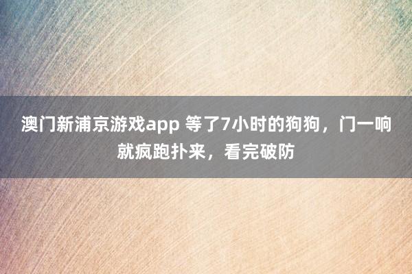 澳门新浦京游戏app 等了7小时的狗狗，门一响就疯跑扑来，看完破防