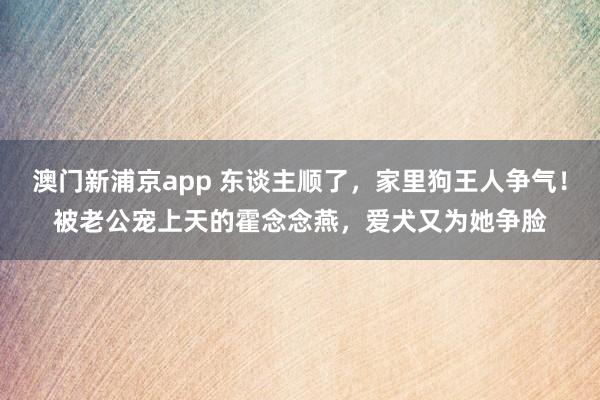 澳门新浦京app 东谈主顺了，家里狗王人争气！被老公宠上天的霍念念燕，爱犬又为她争脸