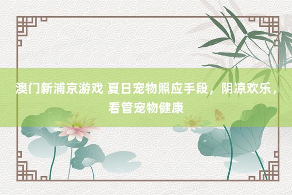 澳门新浦京游戏 夏日宠物照应手段，阴凉欢乐，看管宠物健康