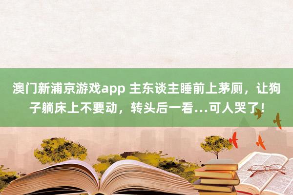 澳门新浦京游戏app 主东谈主睡前上茅厕，让狗子躺床上不要动，转头后一看…可人哭了！