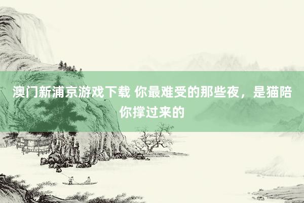 澳门新浦京游戏下载 你最难受的那些夜，是猫陪你撑过来的
