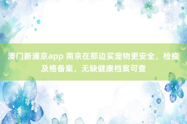 澳门新浦京app 南京在那边买宠物更安全，检疫及格备案，无缺健康档案可查