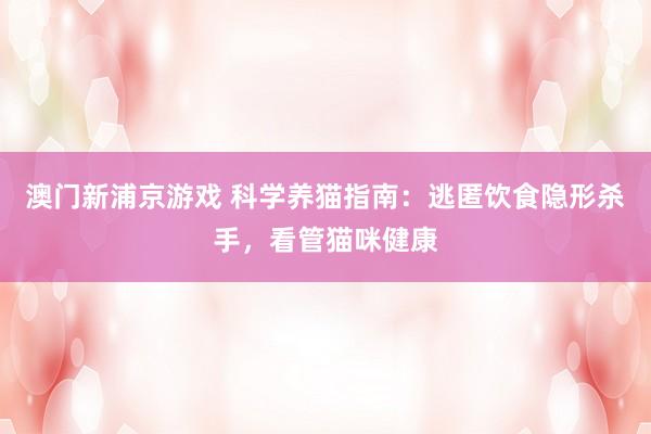 澳门新浦京游戏 科学养猫指南：逃匿饮食隐形杀手，看管猫咪健康