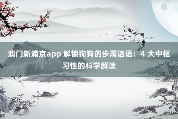 澳门新浦京app 解锁狗狗的步履话语：4 大中枢习性的科学解读