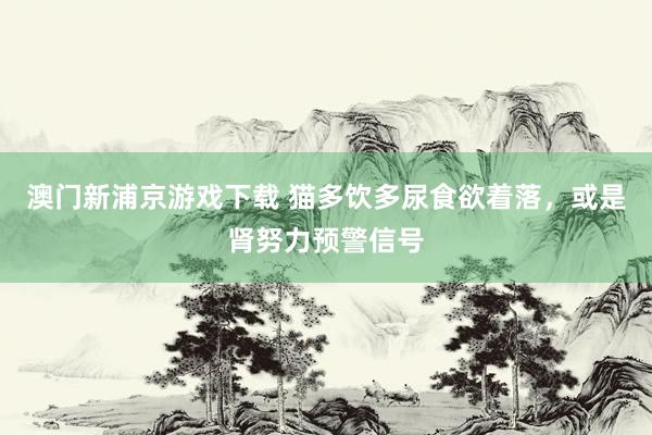 澳门新浦京游戏下载 猫多饮多尿食欲着落，或是肾努力预警信号