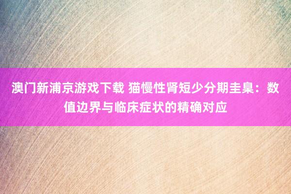 澳门新浦京游戏下载 猫慢性肾短少分期圭臬：数值边界与临床症状的精确对应