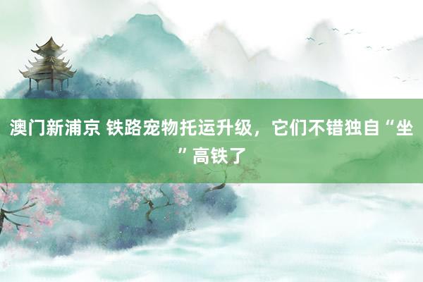 澳门新浦京 铁路宠物托运升级，它们不错独自“坐”高铁了
