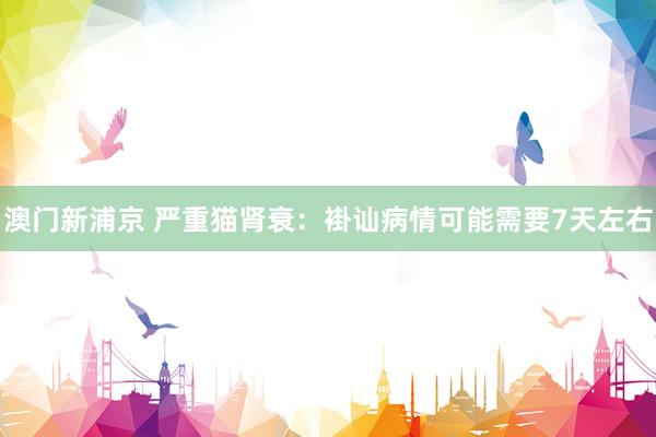 澳门新浦京 严重猫肾衰：褂讪病情可能需要7天左右