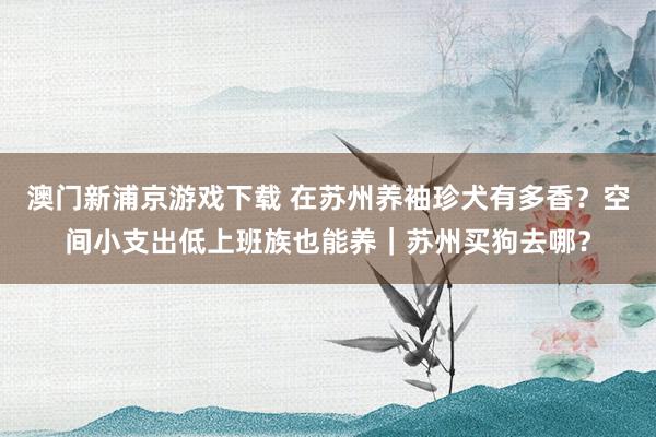 澳门新浦京游戏下载 在苏州养袖珍犬有多香？空间小支出低上班族也能养｜苏州买狗去哪？