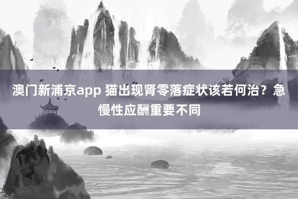 澳门新浦京app 猫出现肾零落症状该若何治？急慢性应酬重要不同