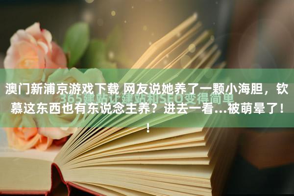 澳门新浦京游戏下载 网友说她养了一颗小海胆，钦慕这东西也有东说念主养？进去一看...被萌晕了！