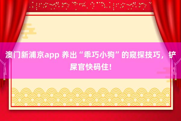 澳门新浦京app 养出“乖巧小狗”的窥探技巧，铲屎官快码住!