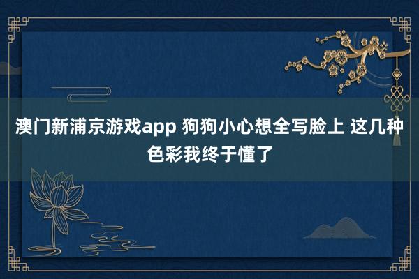 澳门新浦京游戏app 狗狗小心想全写脸上 这几种色彩我终于懂了