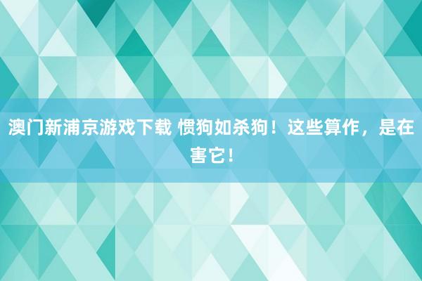 澳门新浦京游戏下载 惯狗如杀狗！这些算作，是在害它！