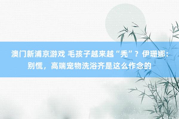 澳门新浦京游戏 毛孩子越来越“秃”？伊珊娜：别慌，高端宠物洗浴齐是这么作念的