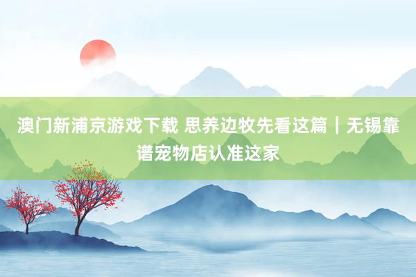 澳门新浦京游戏下载 思养边牧先看这篇｜无锡靠谱宠物店认准这家