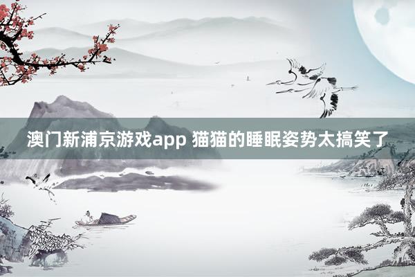 澳门新浦京游戏app 猫猫的睡眠姿势太搞笑了
