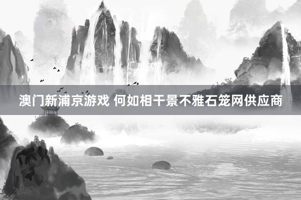 澳门新浦京游戏 何如相干景不雅石笼网供应商