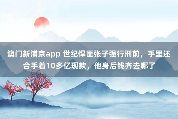 澳门新浦京app 世纪悍匪张子强行刑前，手里还合手着10多亿现款，他身后钱齐去哪了