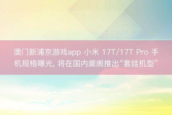 澳门新浦京游戏app 小米 17T/17T Pro 手机规格曝光， 将在国内阛阓推出“套娃机型”