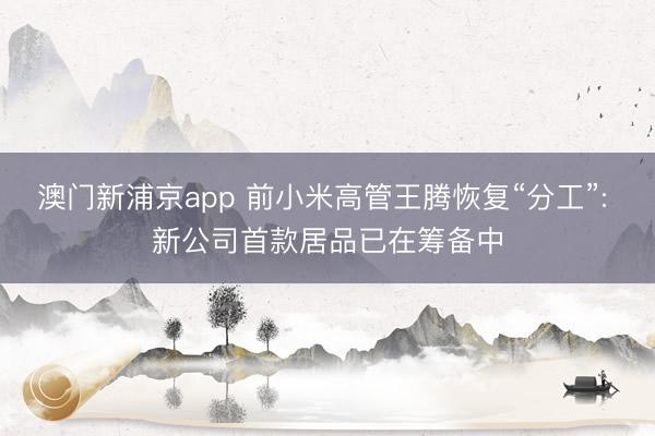 澳门新浦京app 前小米高管王腾恢复“分工”: 新公司首款居品已在筹备中
