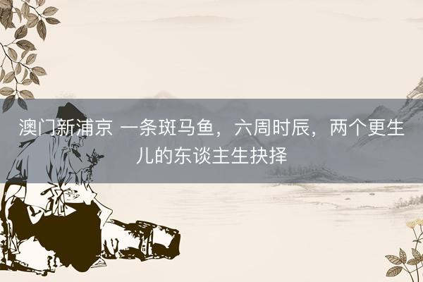 澳门新浦京 一条斑马鱼，六周时辰，两个更生儿的东谈主生抉择