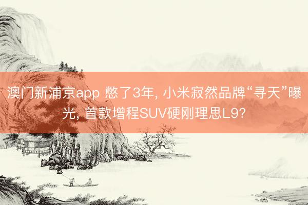 澳门新浦京app 憋了3年， 小米寂然品牌“寻天”曝光， 首款增程SUV硬刚理思L9?