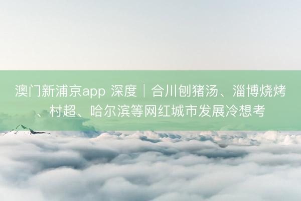 澳门新浦京app 深度│合川刨猪汤、淄博烧烤、村超、哈尔滨等网红城市发展冷想考